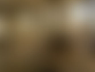 An Out of Africa experience (inc.video)