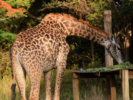 A Fun Weekend Away by the Lakeside.