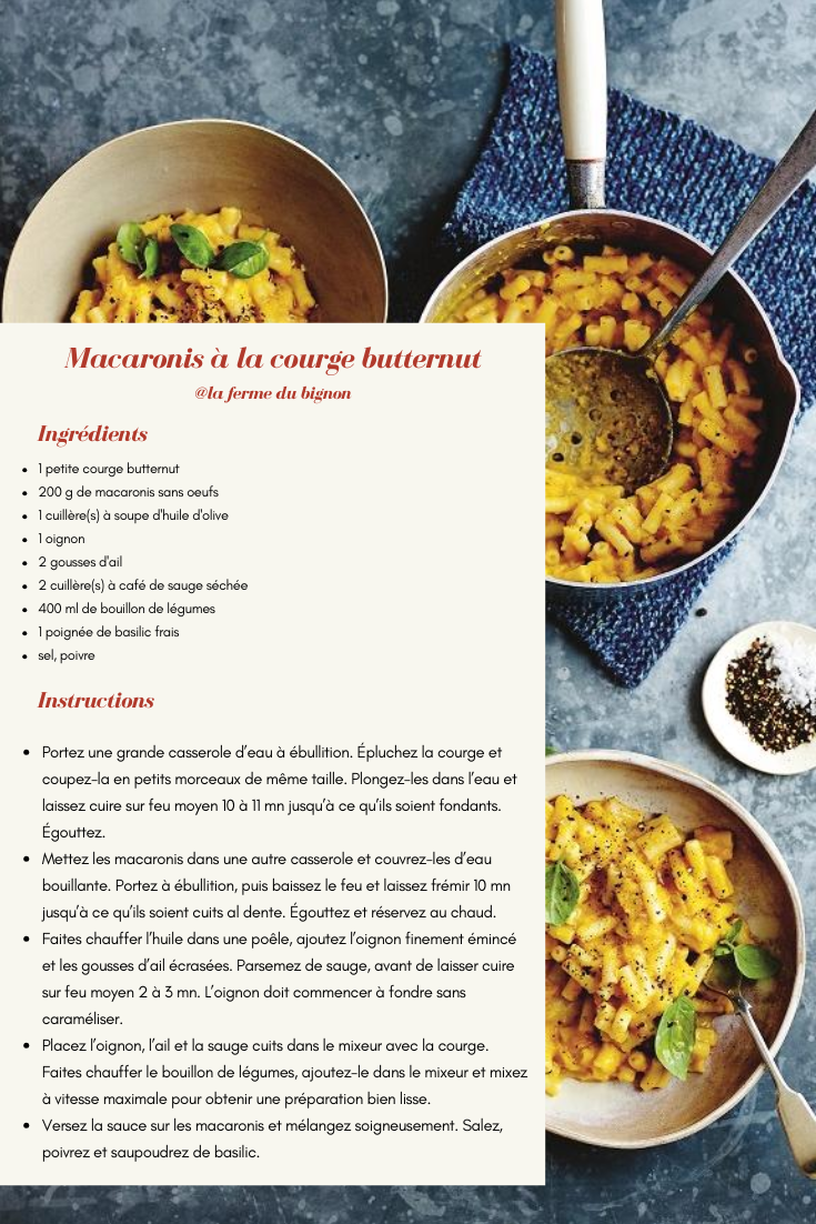 Recette de macaronis à la courge butternut
