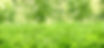 iStock-183300637.jpg