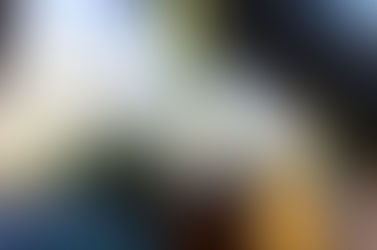 Moringa Oil: 11 Best Benefits Of Moringa Oil For Skin, Hair And Health