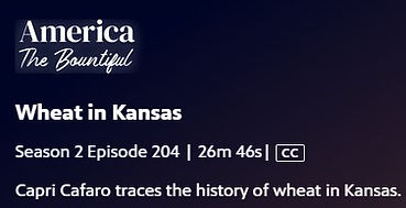 America the Bountiful PBS Wheat in Kansas