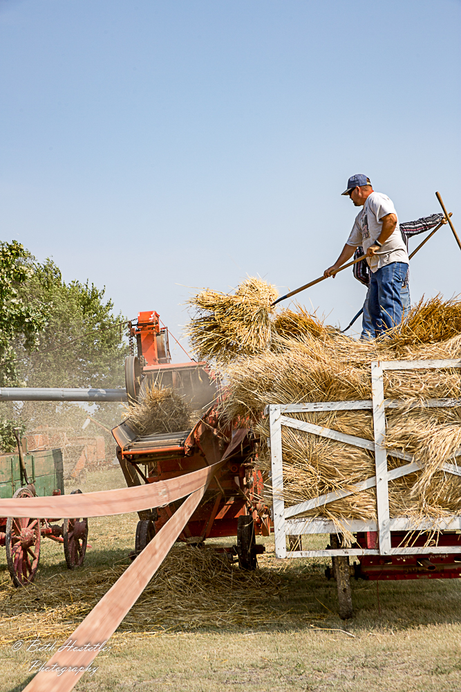Images of 2017 Threshing Days mennheritandagmuseum