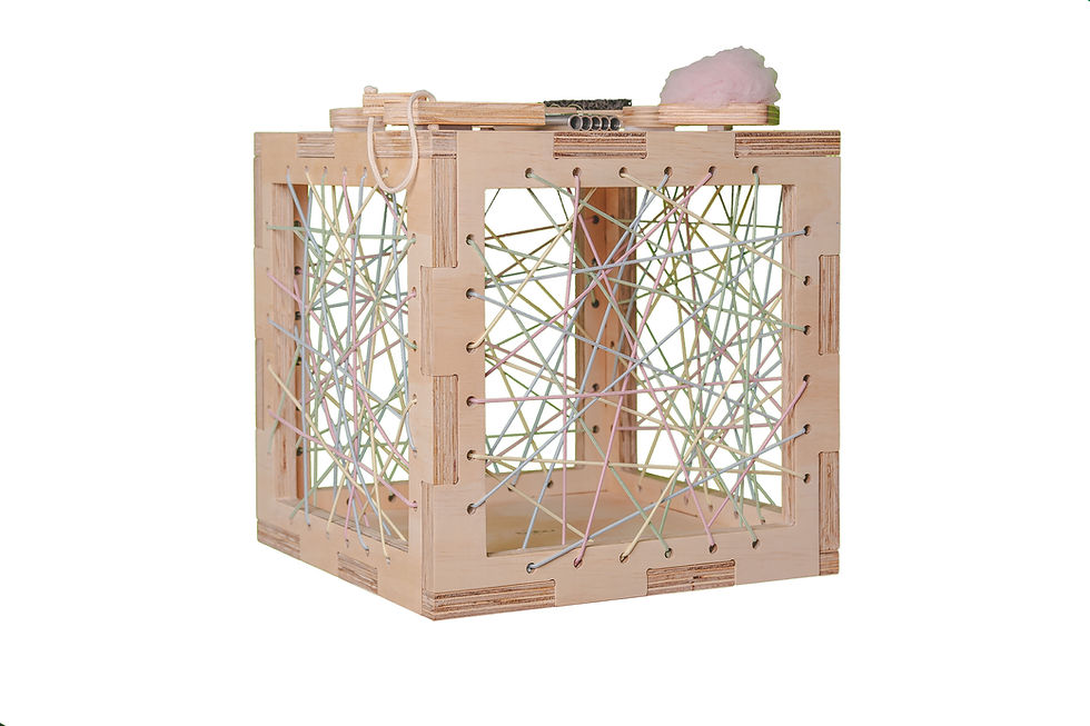 Miniatura: Cama de Gato