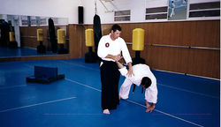 Aikido Martial Art