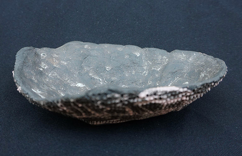 Miniature : Muschel / Shell / Coquillage