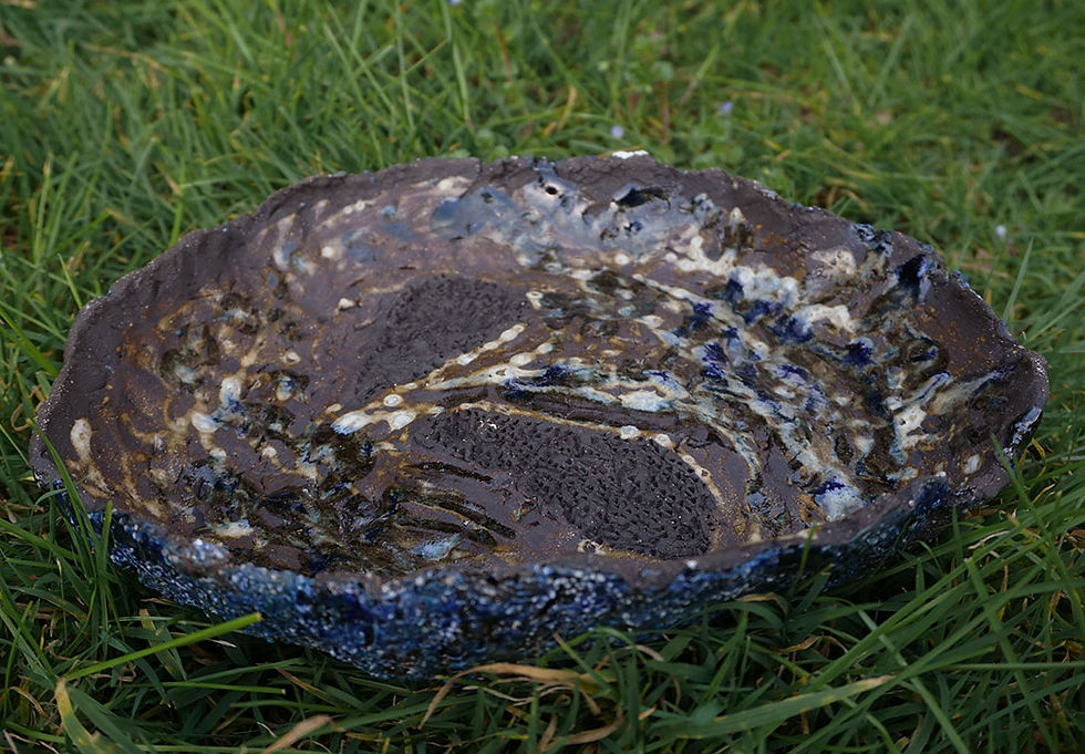 Miniature : Seeds Blue