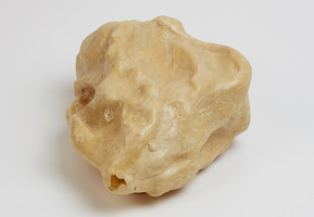 Specimen B