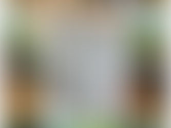 ゴールデンエイジ期神経系トレーニング講座