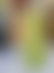 Herby White Bean Vinaigrette