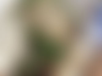 Slow Cooker Sesame Soy Shredded Pork