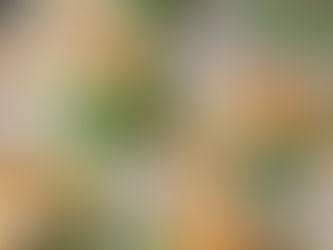 Cheesesteak Stuffed Peppers