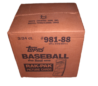 Rack Case (3-Boxes)_edited.png