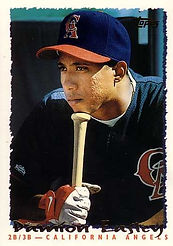 topps1995-306F--8225c2094a1f0159816db328432d4a0318b17a70.jpg