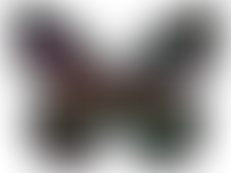 100 keys words you may know