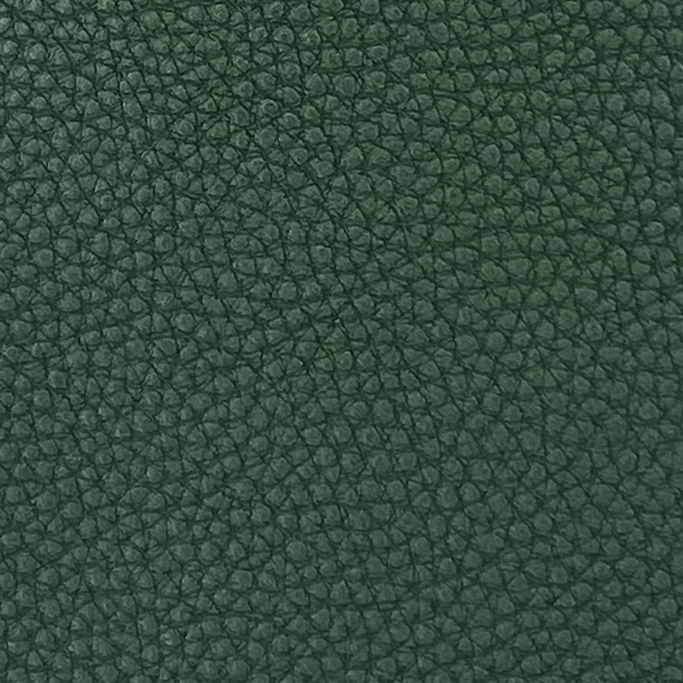 縮圖：Recycled Leather. Rleather
