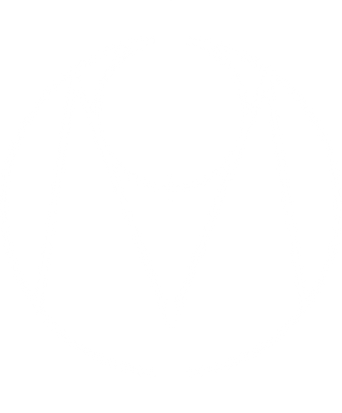 Modus-Logo-Pos-PLAIN-768x928_edited_edited_edited.png