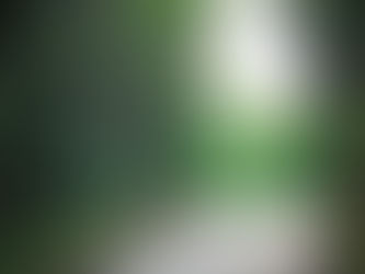 Work Completed on New Road