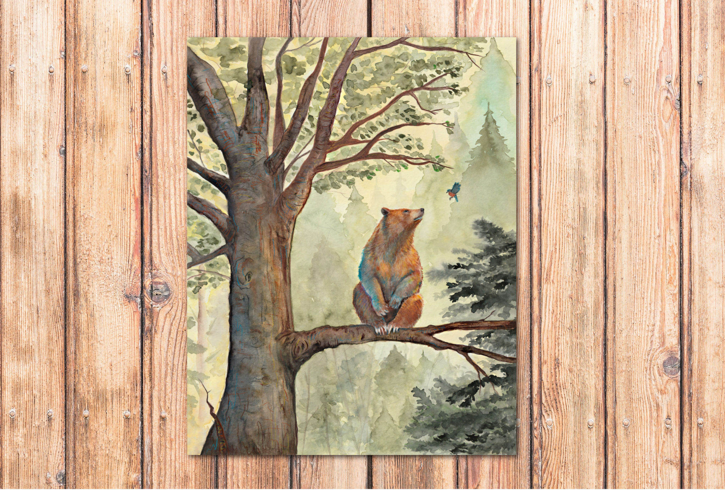 Grizzly bear and bluebird art print