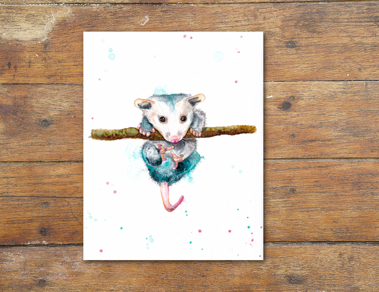 Colorful baby opossum