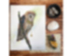 Thumbnail: Barn Owl and Star art print