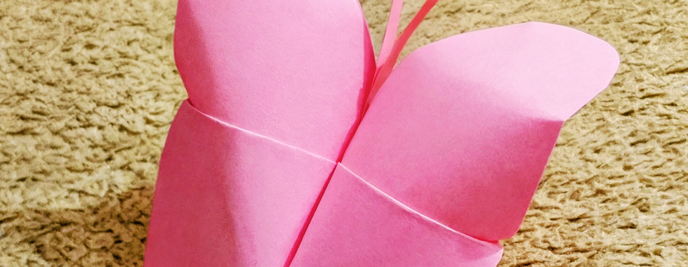 Integrantes da AIDÊ durante as atividades do Outubro Rosa 2025, em Ipatinga.