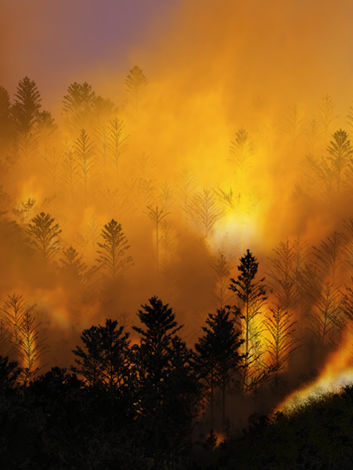 Scintilla: Simulating Combustible Vegetation for Wildfires