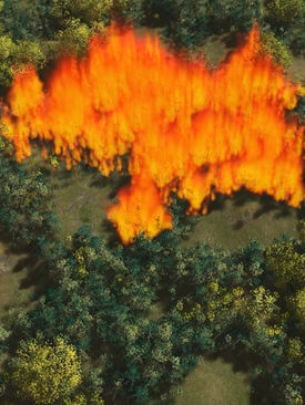 Simulating wildfires with high visual fidelity. 