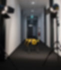 spot_lights.jpg