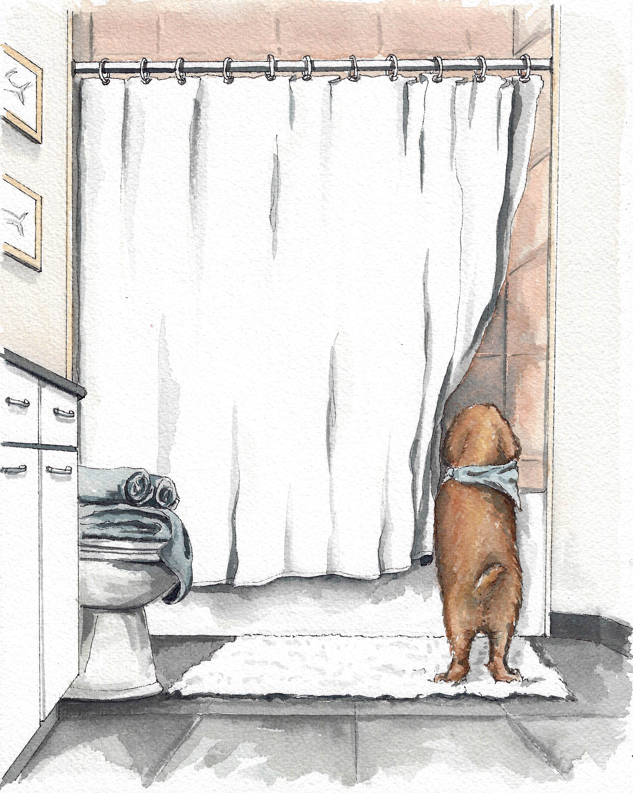 Pet Portrait