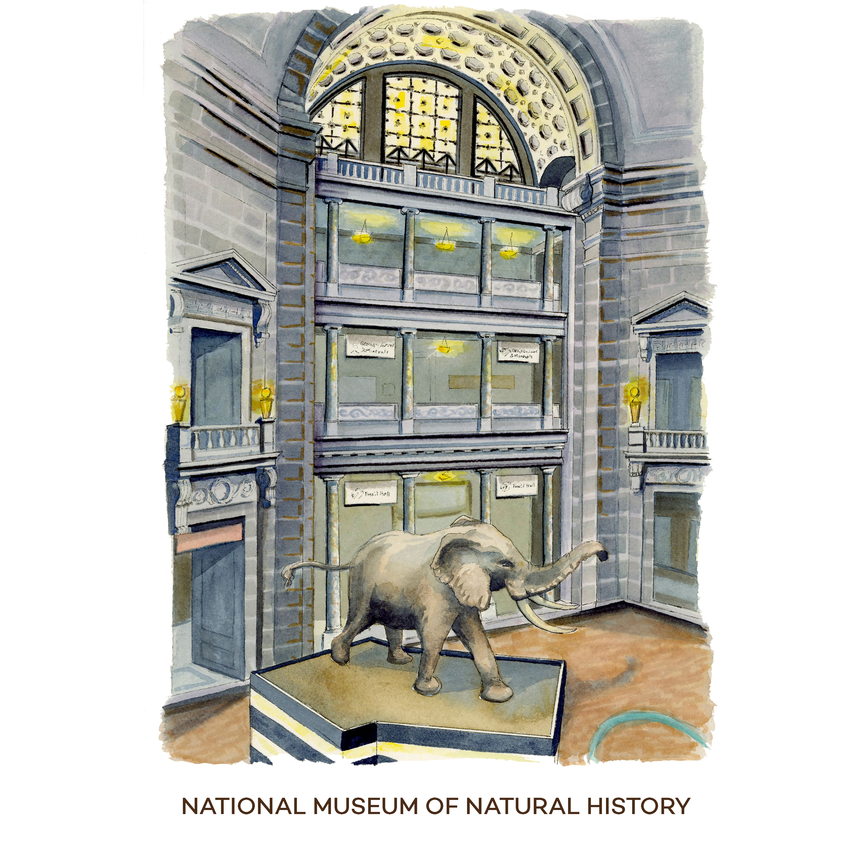 Museum of Natural History Giclee Watercolor Print