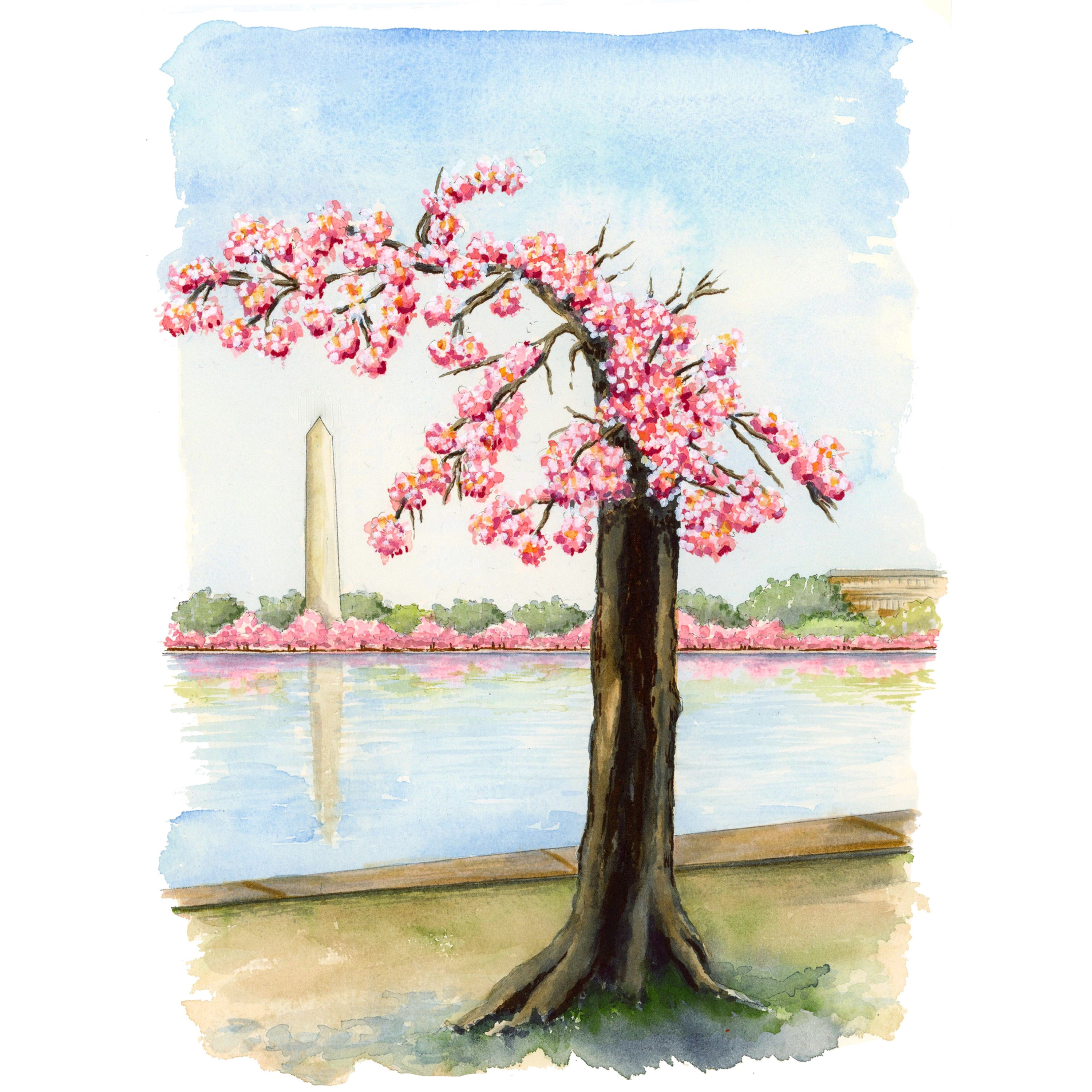 Stumpy Blossom Giclee Watercolor Print