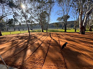 Landscaping project by the Murray River in the Riverland region