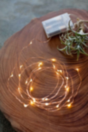 Luces mini LED de alambre