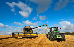 grain harvester