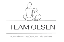 team (5).png