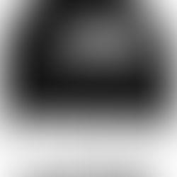 A growth company putting the pedal to the metal