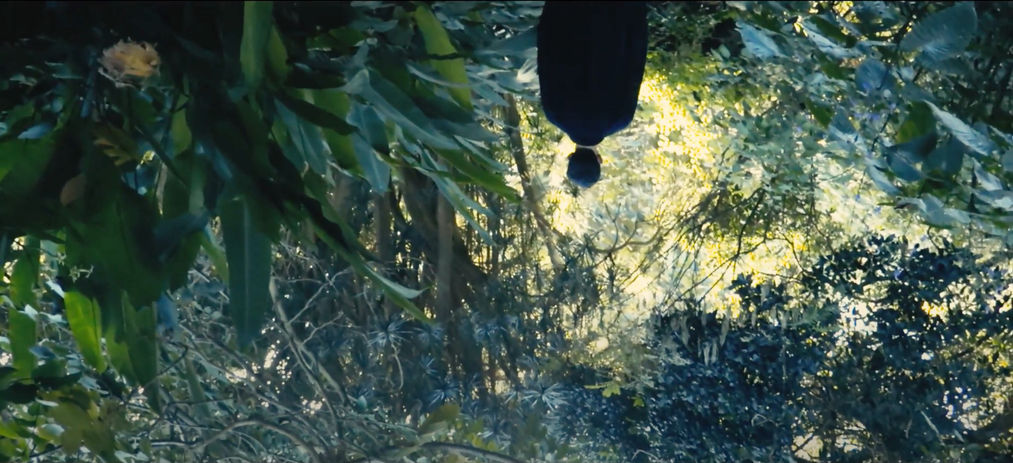 Screen Shot 2021-07-22 at 7.03.59 pm.jpg