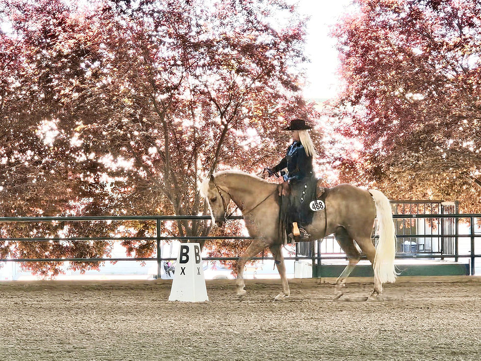 Cowboy Combo Clinic and Schooling Show - September 27th & 28th
