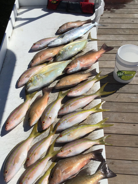 Easy Livin' Charter Custom Islamorada Adventures & Boat Tours Near Me