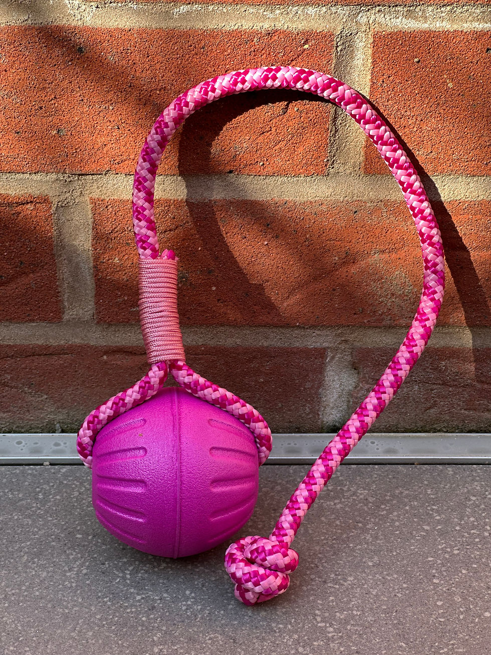 Thumbnail: Launch Ball with Paracord Hendle