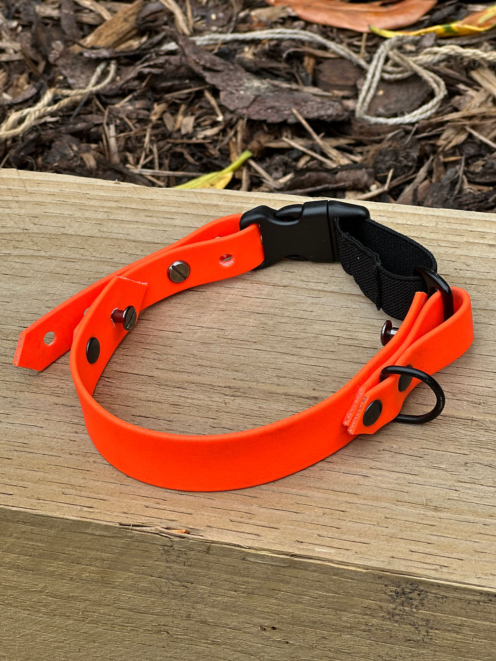 Thumbnail: Chameleon Bungee - 25mm face plate