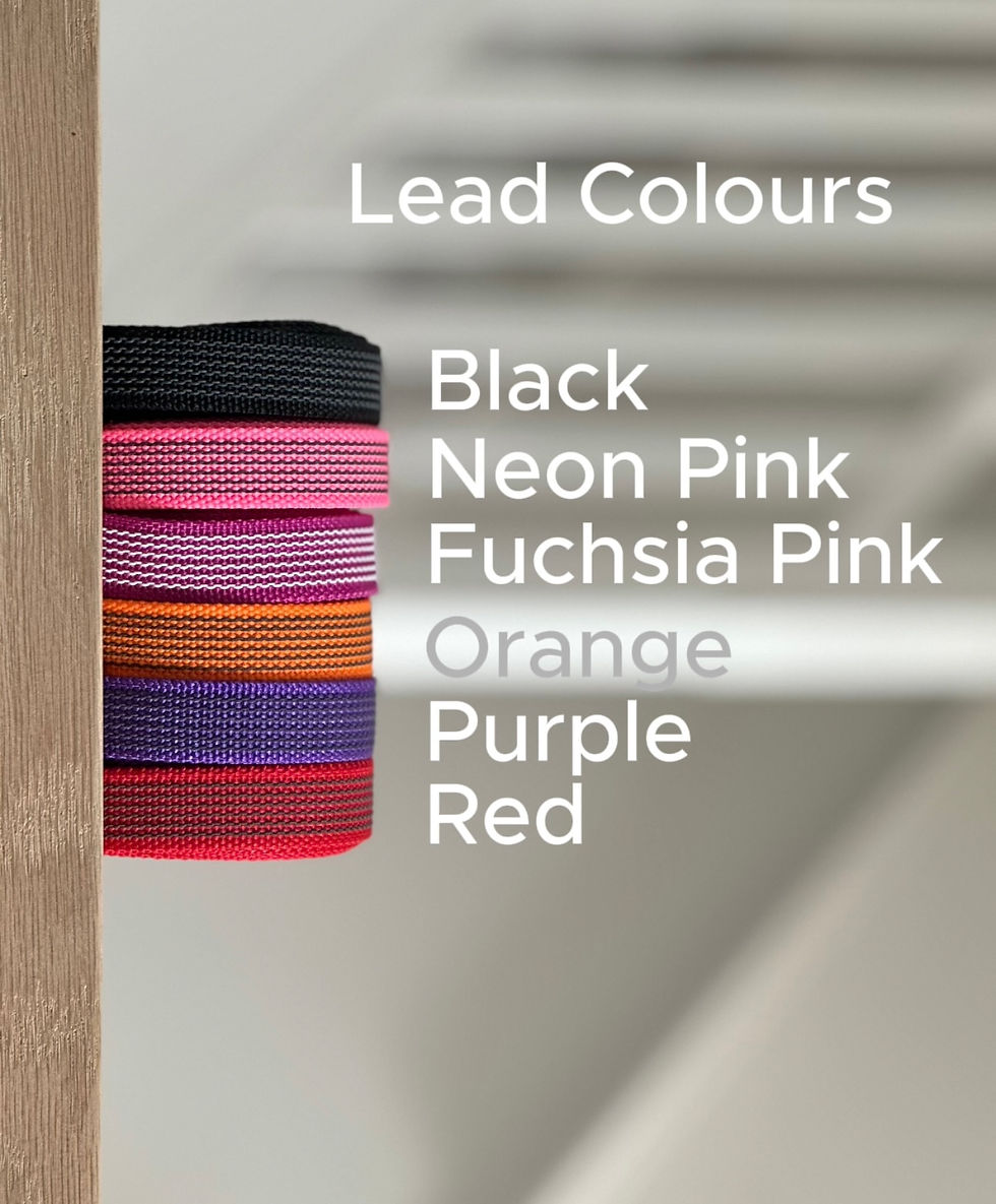 Thumbnail: Grip Lead