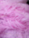 20250417_190724.jpg
