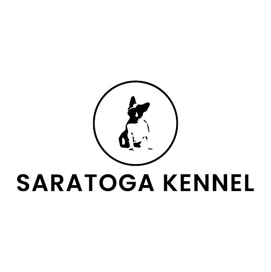 Best Dog Dish For French Bulldogs