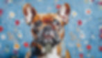 Firefly_f94b5263-8f23-44d9-88fc-3b734ba18aa5.jpeg