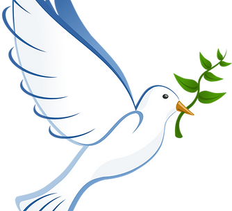 Dove RIGHT.png