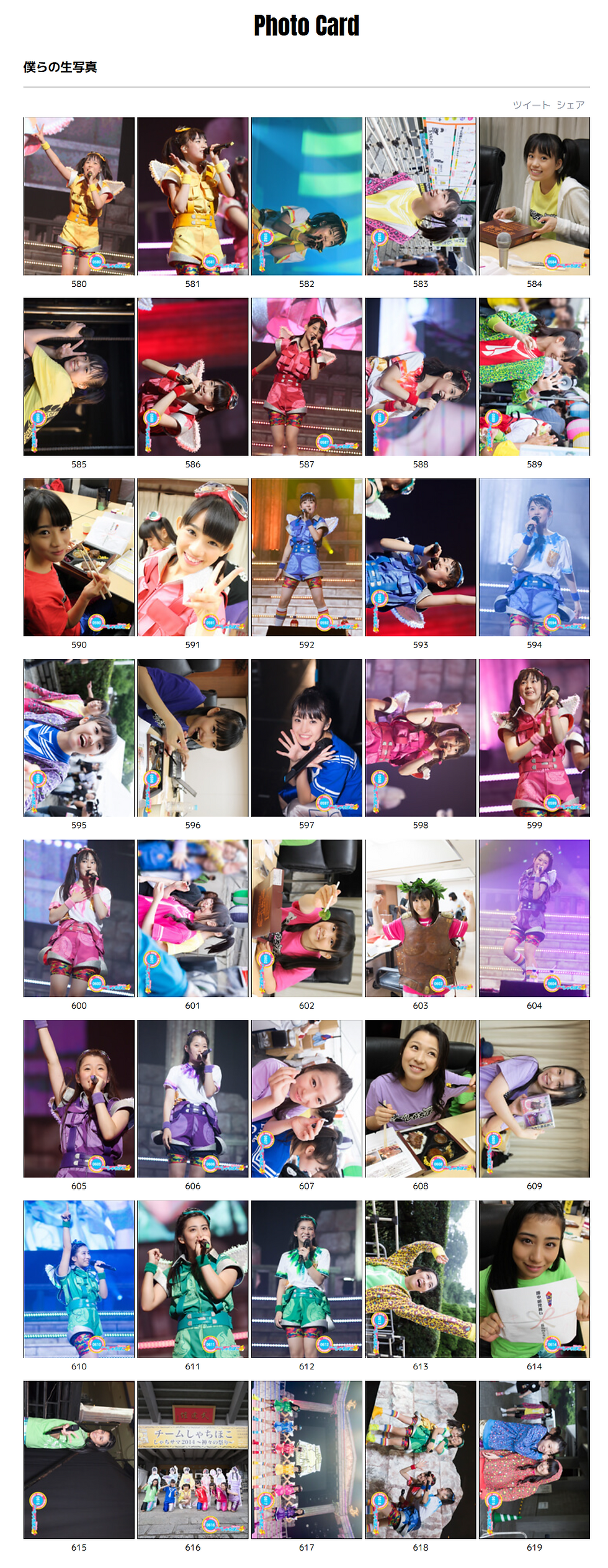 生写真一覧 | TEAM SHACHI HAPPY FOREVER | 有志サイト