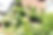 IMG-20211014-WA0050