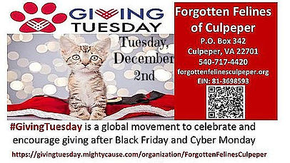 FFC Giving Tuesday 2025.jpg